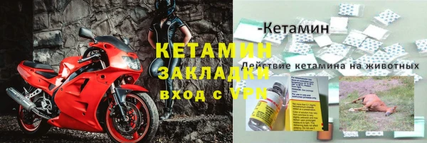 прущие крисы Вяземский